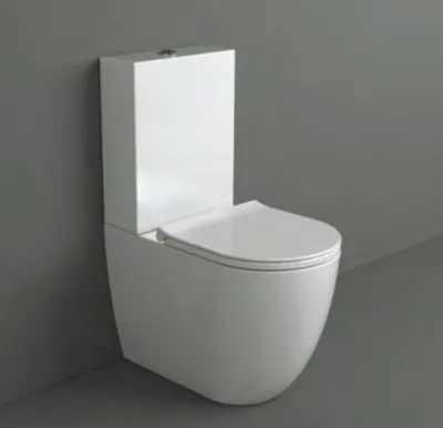 Vignoni VI09 universal toilet - Mattweißes Porzellan
